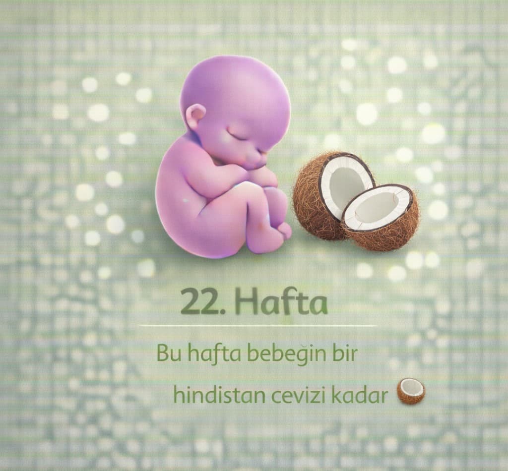 22. Hafta Gebelik