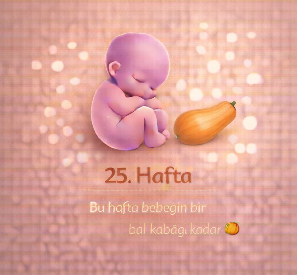 25. Hafta Gebelik