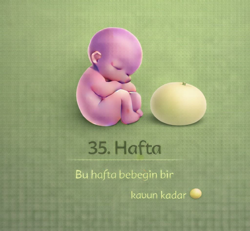 35. Hafta Gebelik