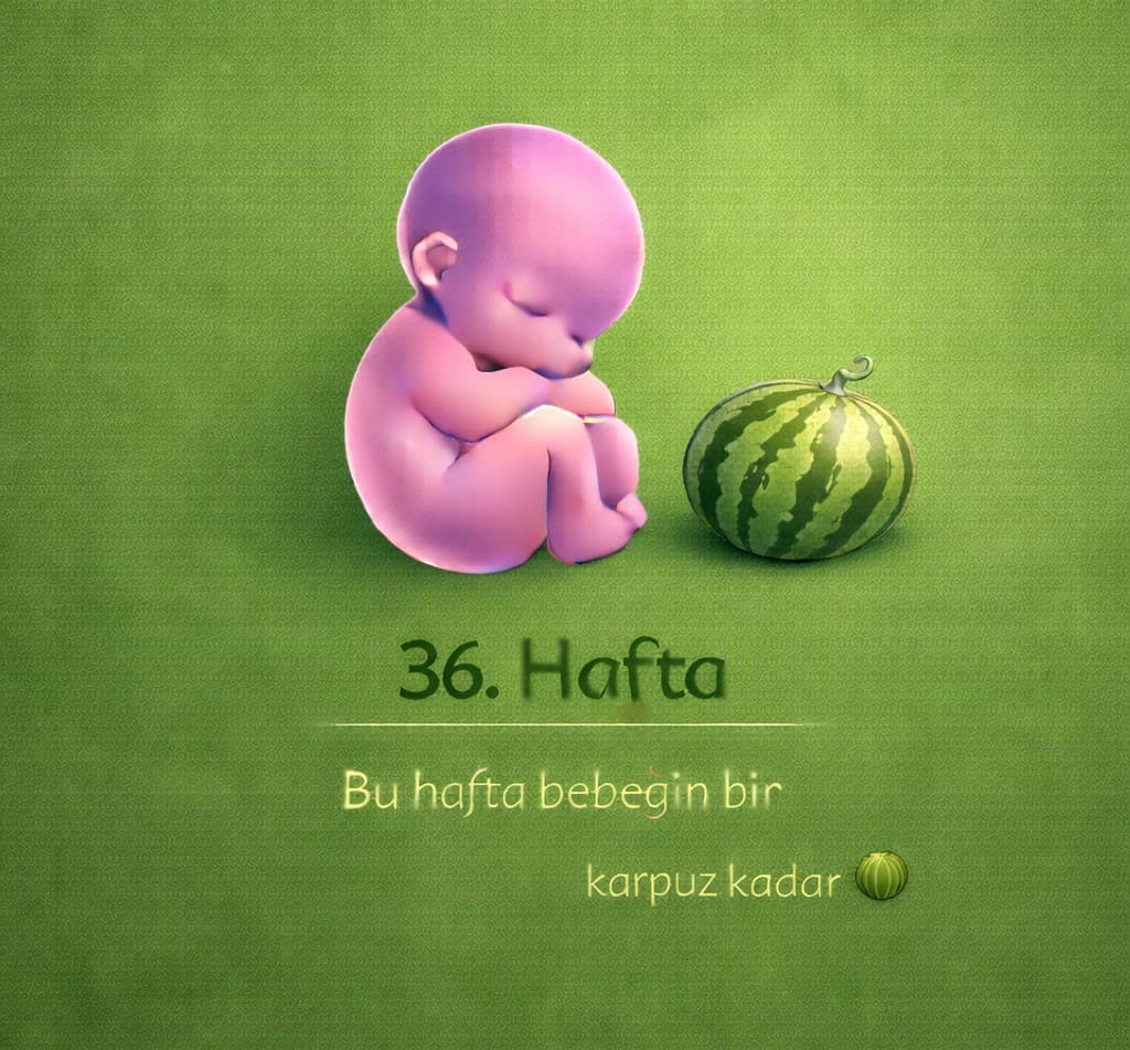 36. Hafta Gebelik