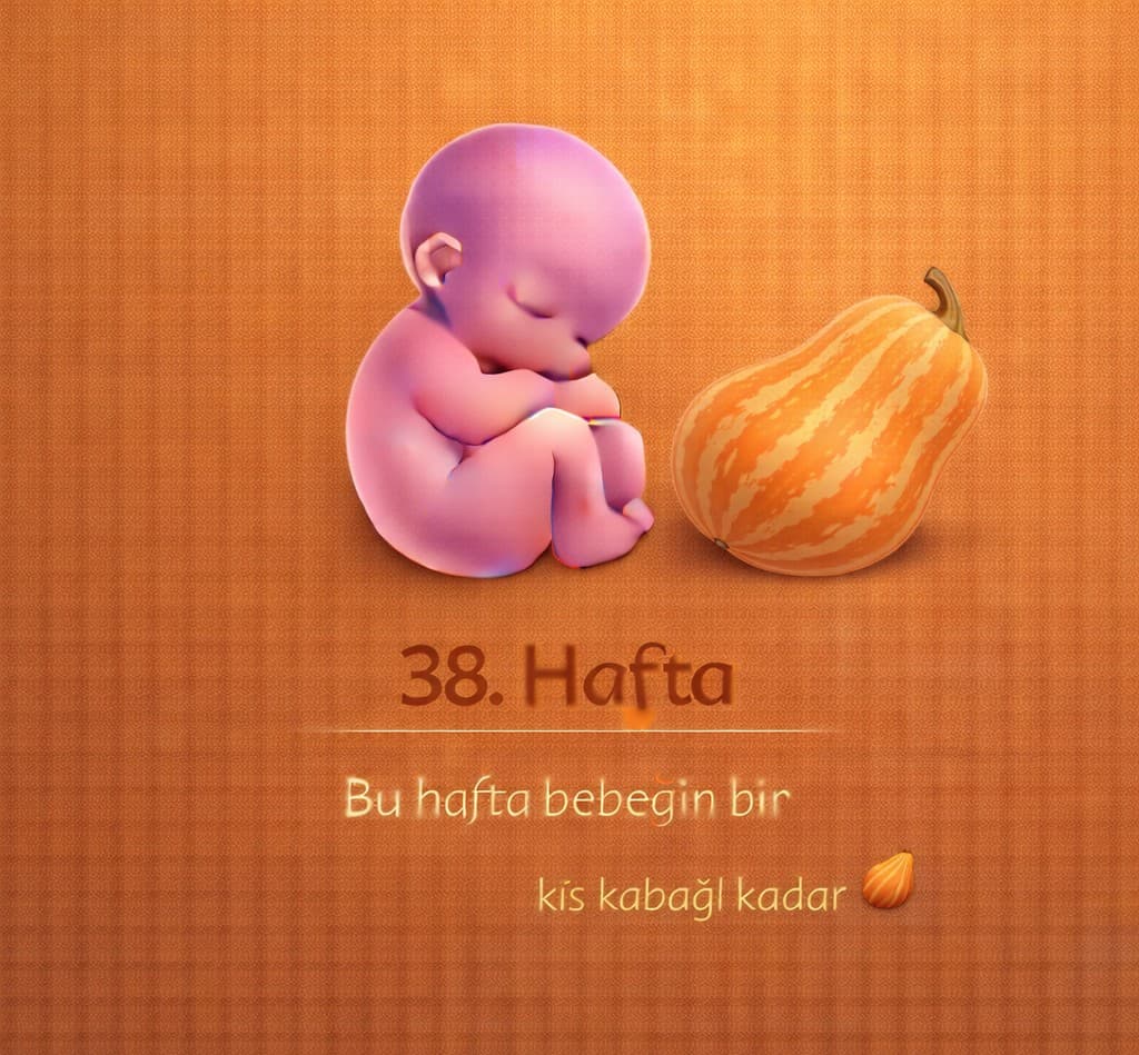 38. Hafta Gebelik